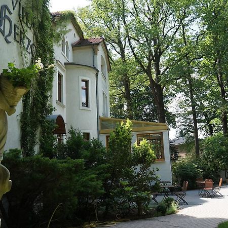 Hotel Villa Herzog Dresden Eksteriør bilde