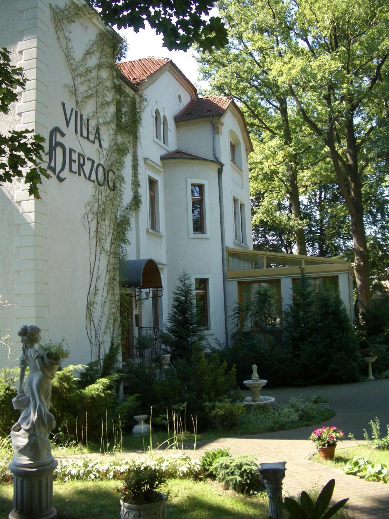 Hotel Villa Herzog Dresden Eksteriør bilde