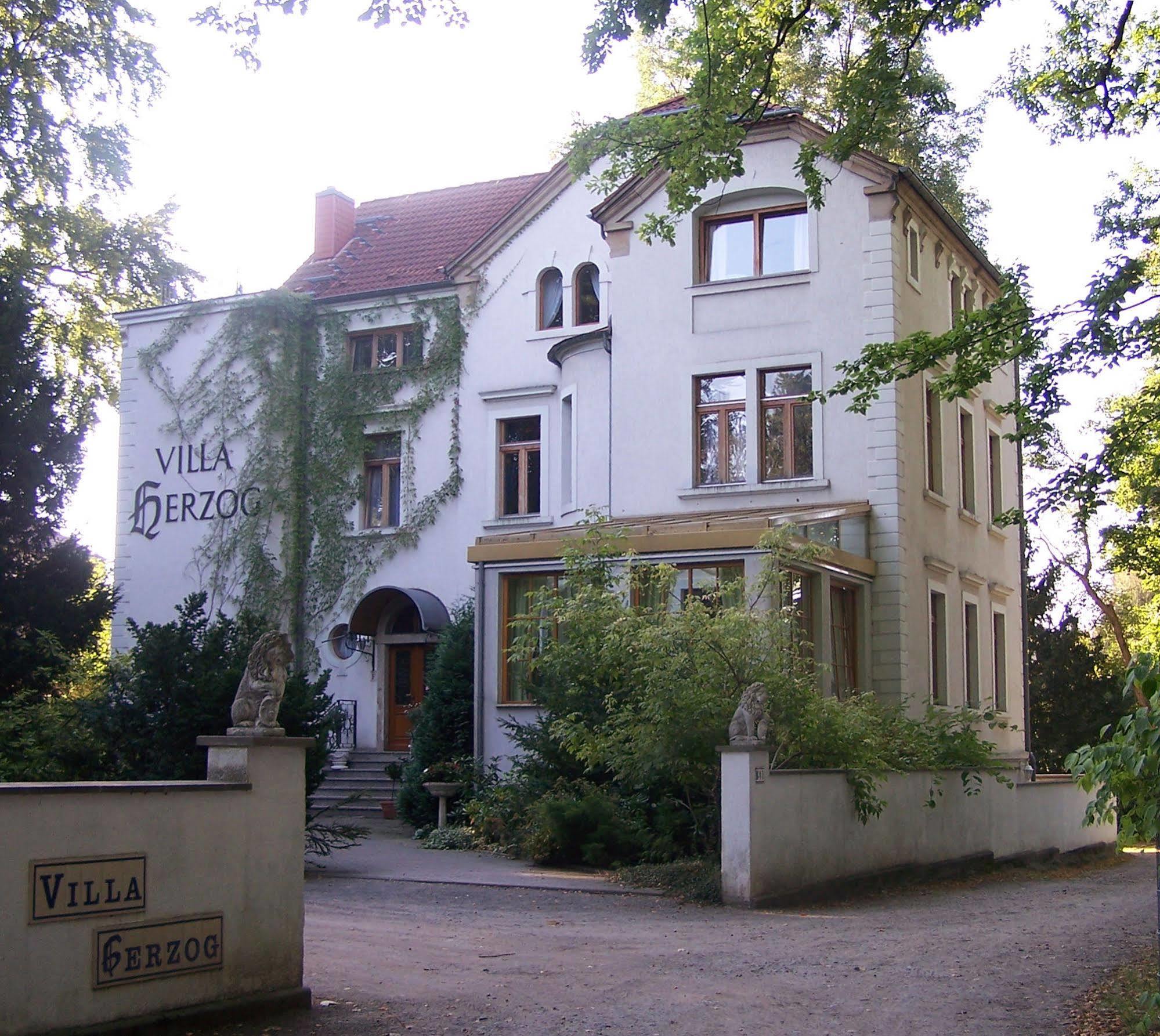 Hotel Villa Herzog Dresden Eksteriør bilde